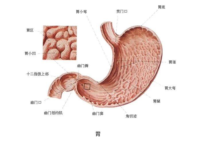 微信图片_20220314103051